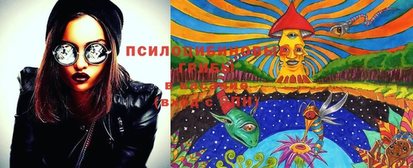 мдпв Балахна