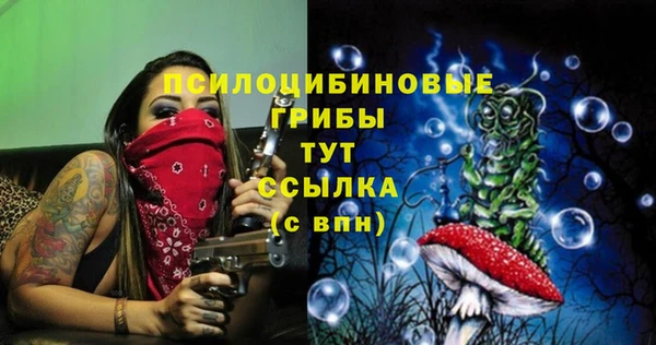 молекула духа Балабаново
